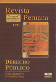 Revista Peruana de Derecho Publico Nº 11 | García Belaunde, Domingo