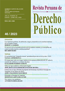 Revista Peruana de Derecho Publico Nº 46 | García Belaunde, Domingo